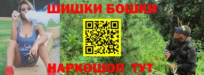 стаф Пенза