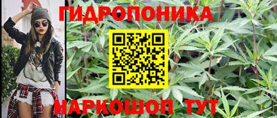 стаф Пенза