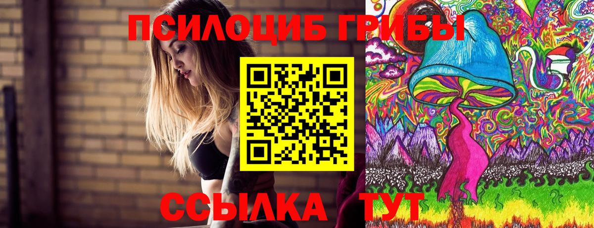 Йошкар-Ола  цены   Вход с VPN  Псилоцибиновые грибы MAGIC MUSHROOMS 