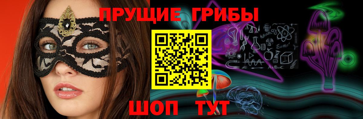 Псилоцибиновые грибы мицелий Йошкар-Ола